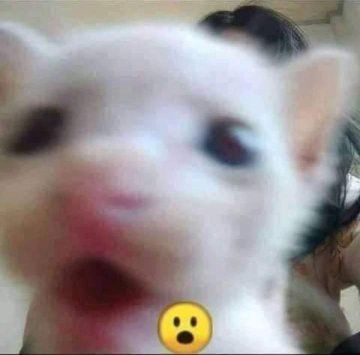 #. Off

Fuaa, paso mucho tiempo, me perdonan?🥺