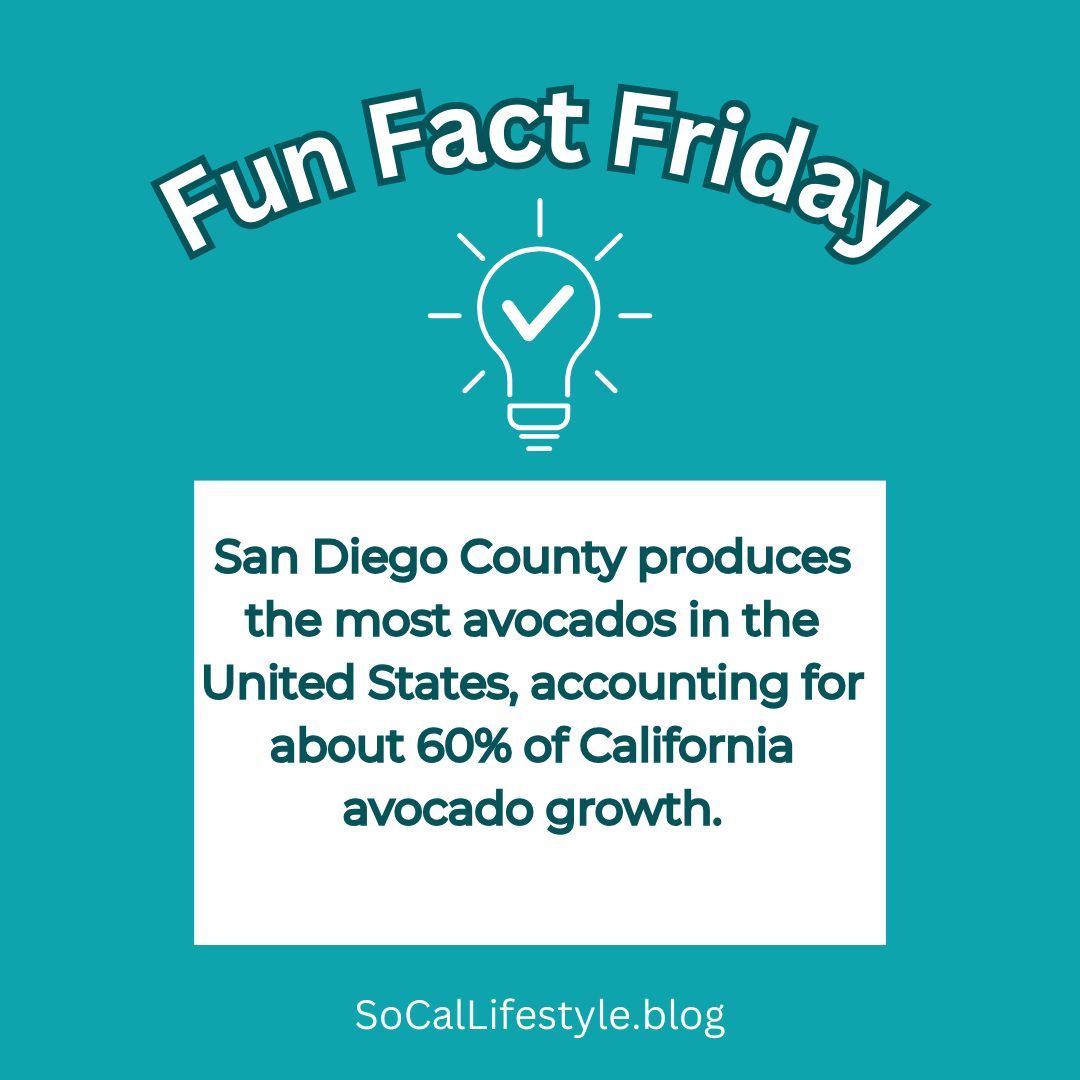 SoCalLife_AshZ's tweet photo. Also a fun fact: Singer/Songwriter @jasonmraz owns an avocado farm near Fallbrook, CA. Check out @mrazfamilyfarms to see what else he grows!

#funfactfriday #avocados #californiaavocados #jasonmraz #sandiegoca #visitsandiego #visitcalifornia #socal #socalliving #sandiegofunfacts https://t.co/o3LTp4NPog