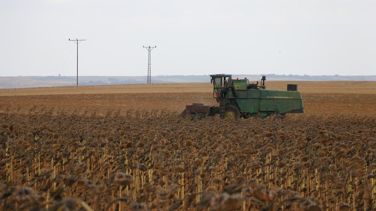 sonmuhurhaber's tweet image. Bakan Yumaklı açıkladı: Tarımsal destekleme ödemeleri hesaplara aktarılacak! #İbrahimYumaklı #Tarim #destekleme 
sonmuhur.com/bakan-yumakli-…