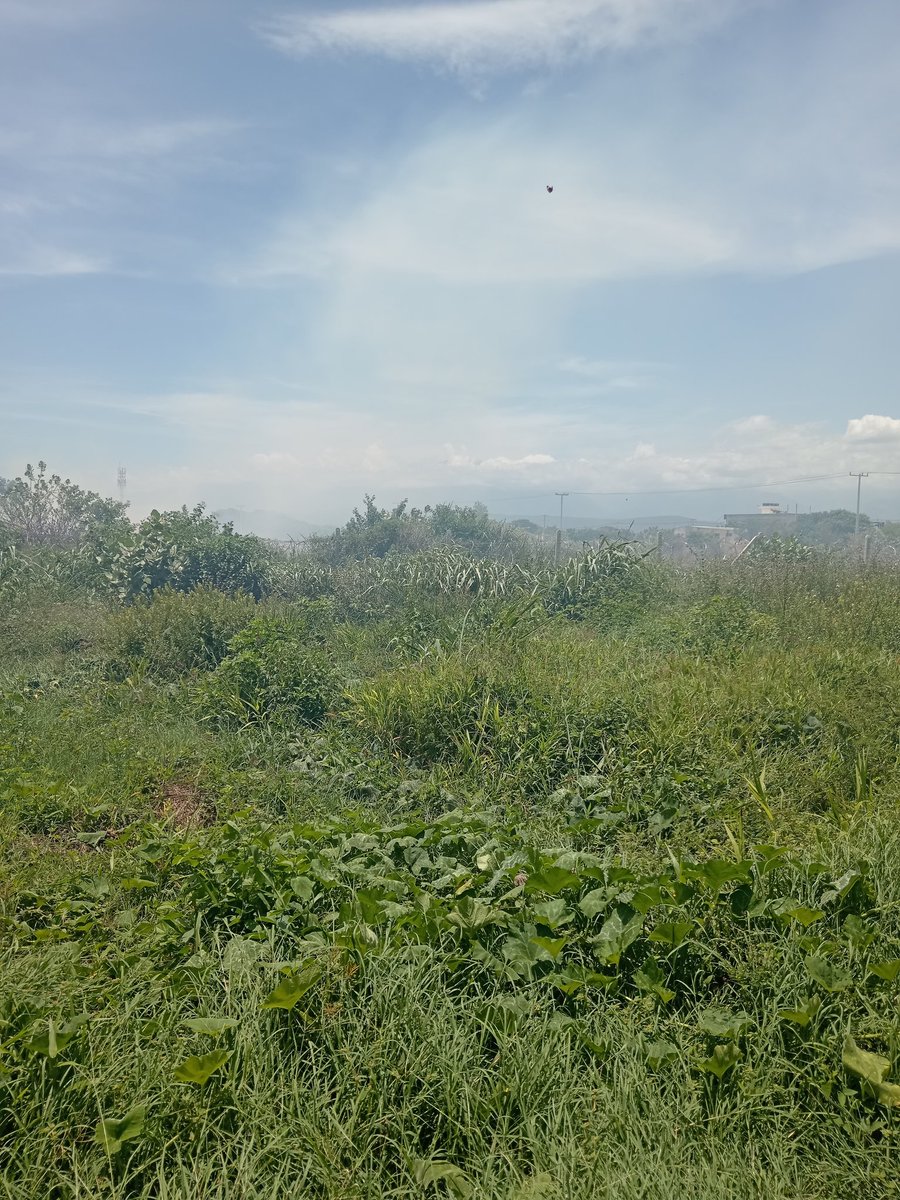DAILYSBARROS's tweet photo. Vuelve y juega la quema @AlcaldiaVpar hasta que no suceda algo grave con estos incendios privocados no le van a tomar en serio https://t.co/wC4TYtRGp9