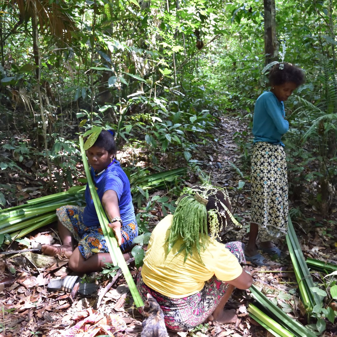 It's #IndigenousPeoplesDay, and we're celebrating some of the communities we work with across the globe! These images display endangered material practices from #Vanuatu, #Brazil, #Nigeria, and #Malaysia. 

#Anthropology  #Photography #Culturalheritage