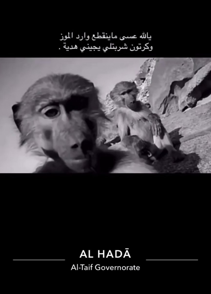 باسل (@sirbasil_) on Twitter photo 