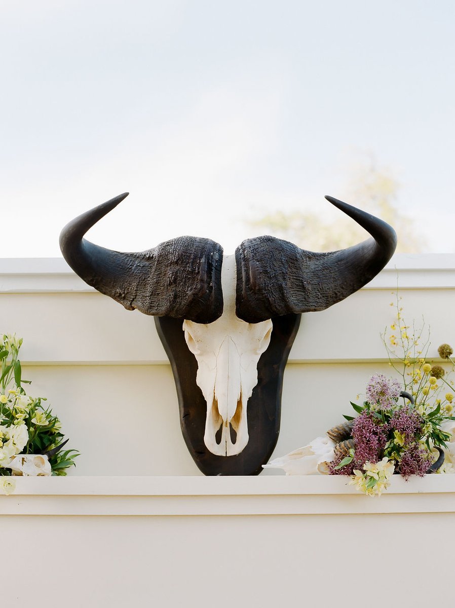 ContigoRanchFBG's tweet photo. the rustic charm of a Texas wedding 
#ContigoRanchFredericksburg #fredericksburgtx #texas #texaswedding #countrychic #rusticcharm #rusticdecor #weddingdetails #weddinggoals #weddinginspiration  

Wedding Planning &amp; Design: @aaustindesign
Venue: @contigoranchfredericksburg
Phot... https://t.co/rKmUlYBZNZ