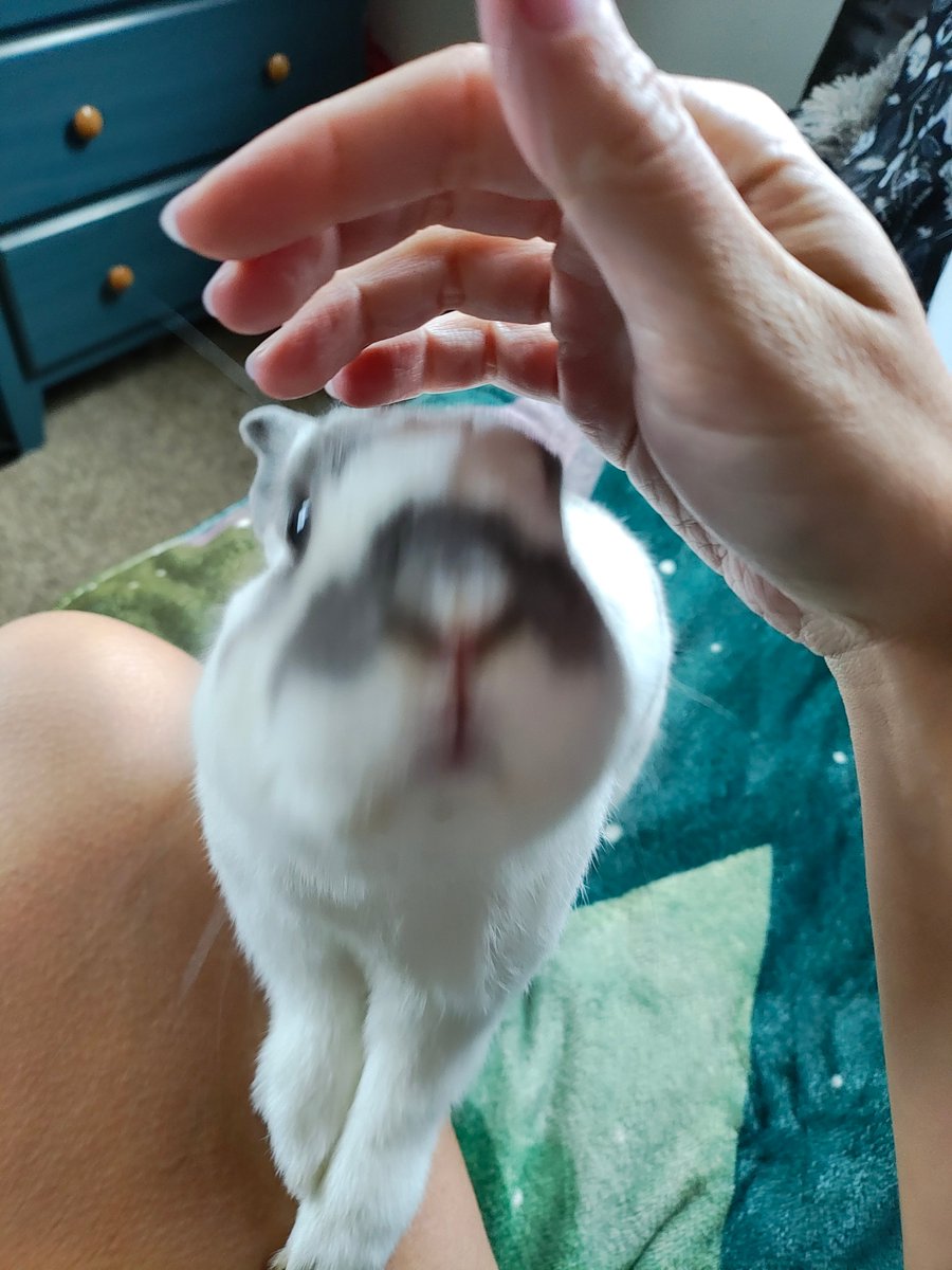 ZiggyWearsHats's tweet photo. MAMA! I teleported here to stare at you. Plz let me. https://t.co/kPC8SkBVrz
