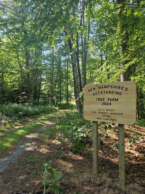 NHTreeFarm tweet media