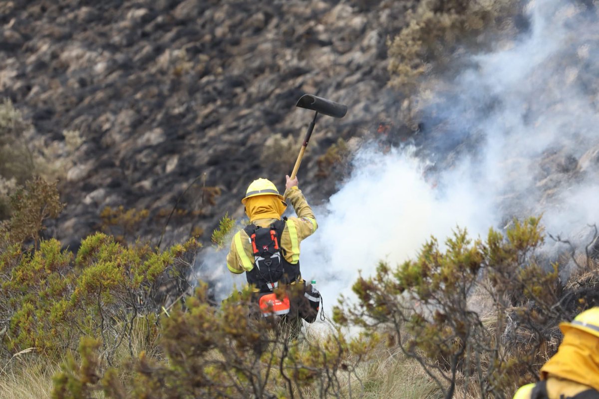 🔄 #Actualización | 12h05 - Incendio forestal en las Laderas del Pichincha.

🔥🌳 Seguimos sumando esfuerzos para controlar y extinguir el incendio que inició la tarde del miércoles. 

👨🚒 Al momento contamos con 118 efectivos y 30 vehículos de Bomberos Quito.

🪖 Activamos