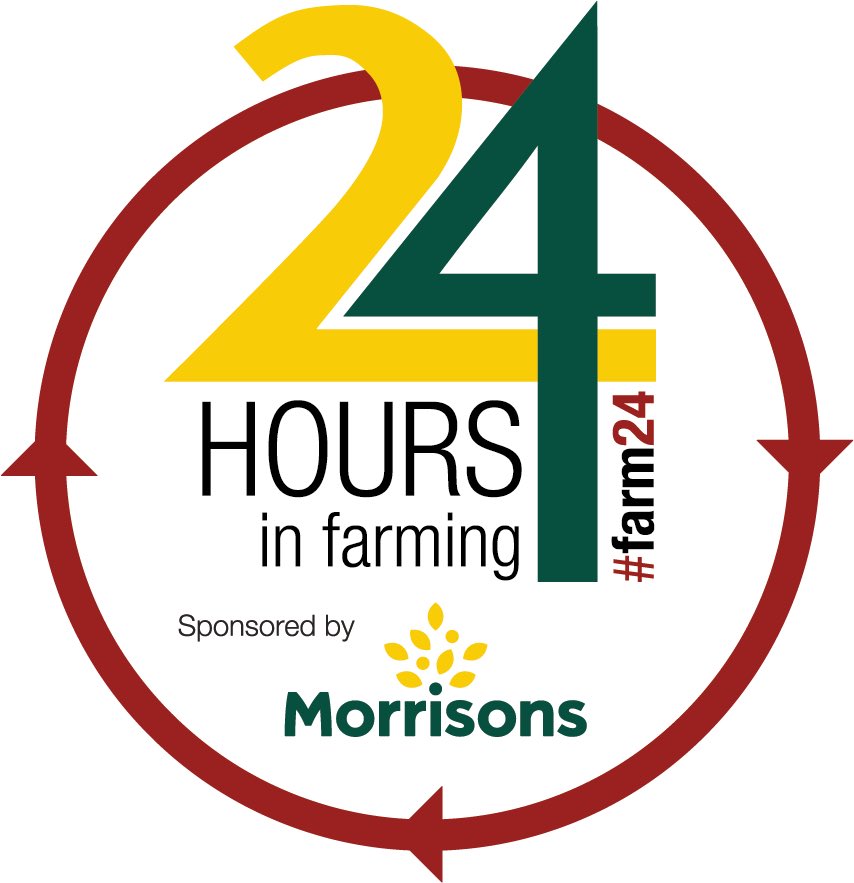 _DebbiesDesigns's tweet image. What a #Farm24, show time, rain, photography and of course fun. Reserve Interbreed with Moorview Banging Savannah @cogentbreeding #genetics