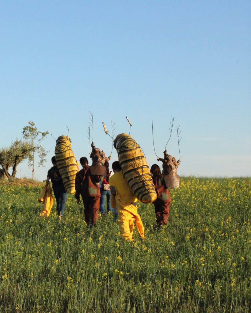 Festa de la Fil·loxera tweet media
