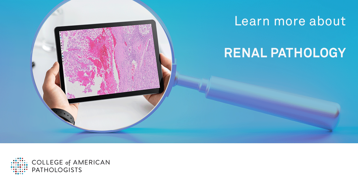 Wondering what a career in #renalpath might entail? Check out the Renal Pathology subspecialty page to learn about challenges, training and what a typical day is like.

Learn More - brnw.ch/21wLLvT
