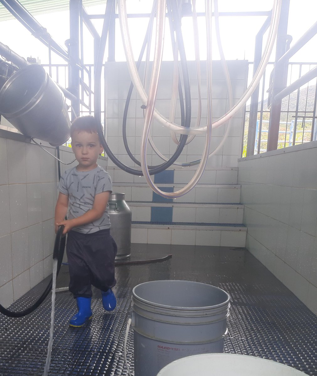 La generación con la que estamos construyendo el futuro de Venezuela! Con trabajo, productividad y actitud proactiva 🇻🇪🛰🚜🌾🐂 
#LaNitroGlobal #ganadería #Venezuela #Merida