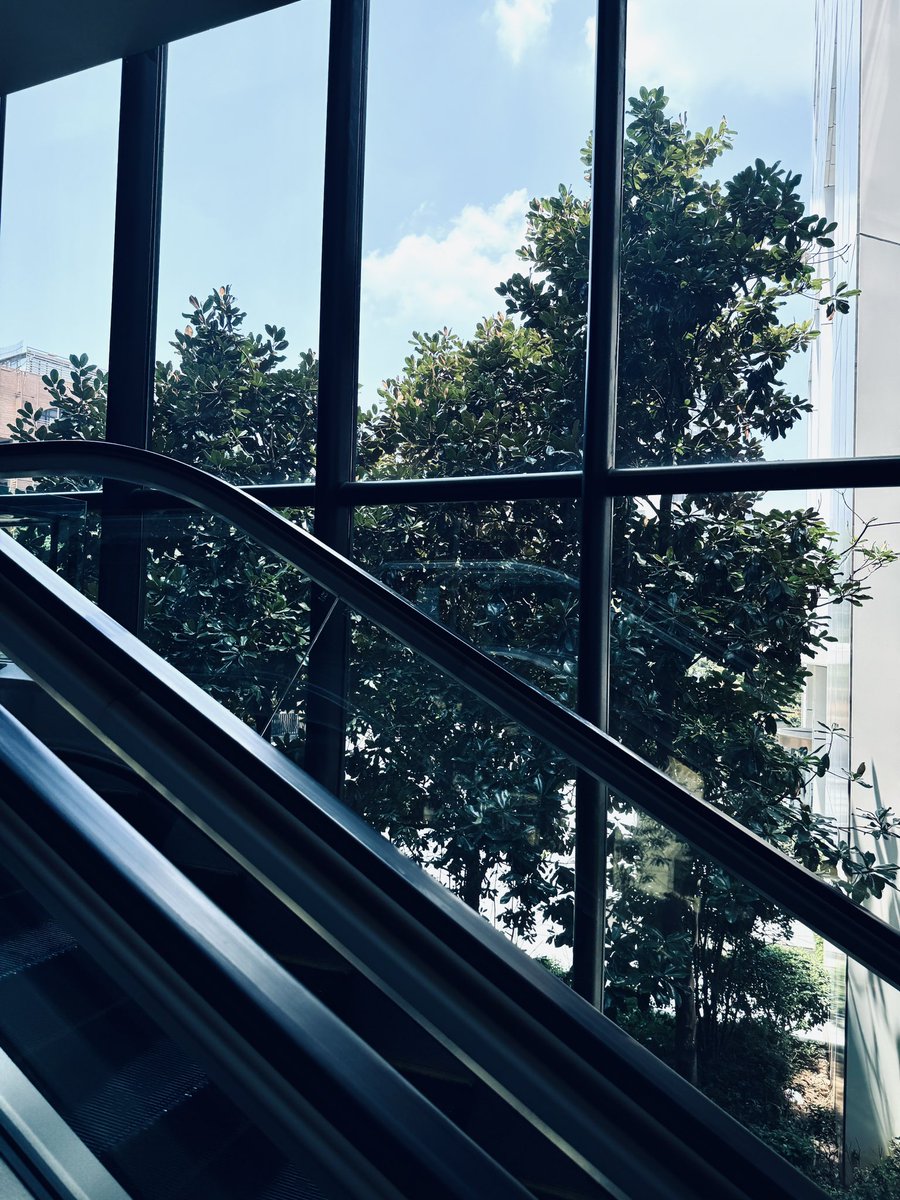 zyffann's tweet photo. 🌦 https://t.co/6wMGbwyqmE