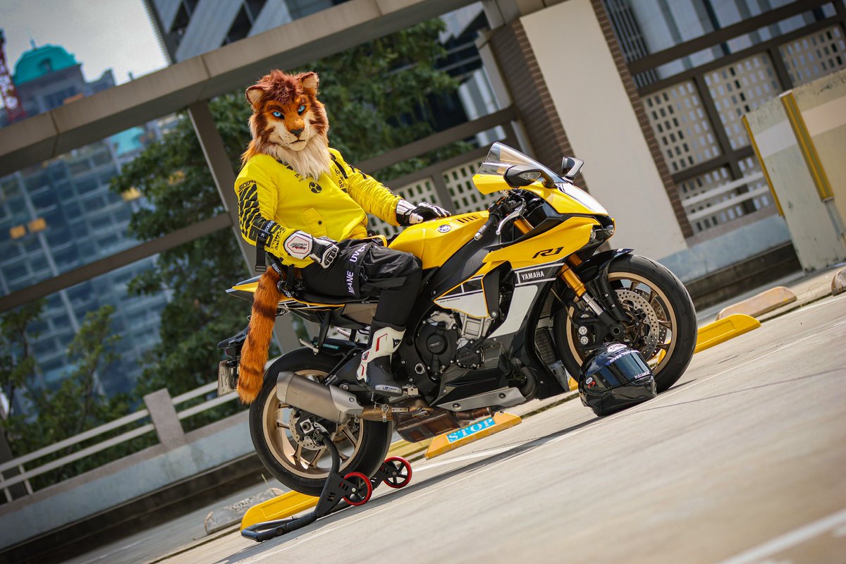 🇯🇵NIPPON KEMONO SPEED TEAM 🇯🇵
! WE ARE ONE !!

🏍️: YAMAHA YZF-R1 x 4
🪡:<a href="/BeastFantasia/">Beast Fantasia Studio</a> 

@Seasnow0330 
<a href="/ZilvenArt/">Zilven 十二嵐</a> 
<a href="/Fulgur17/">Fulgur</a> 
<a href="/EnaEric1/">EnaEric</a>