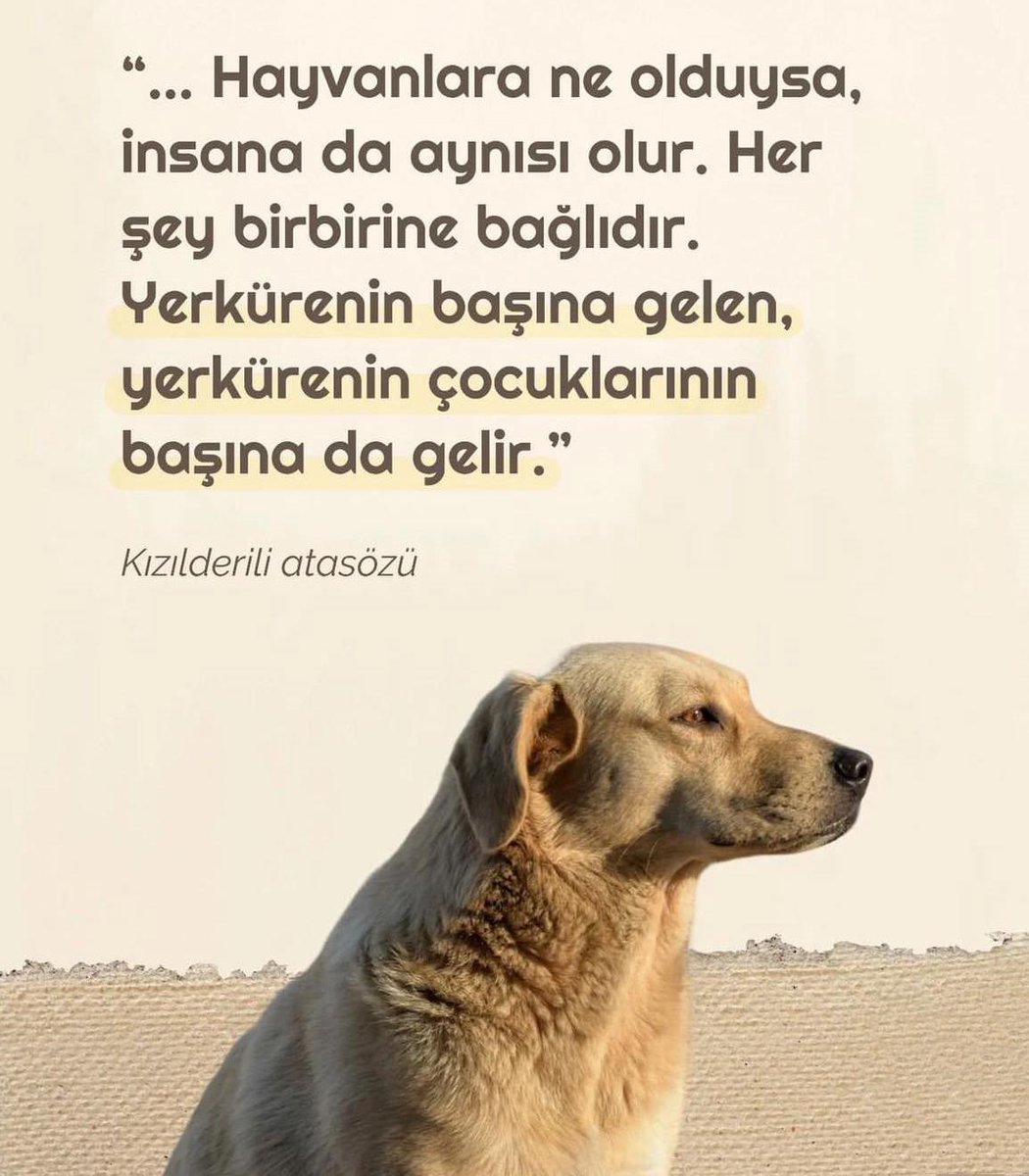 #katliamadurdetürkiye