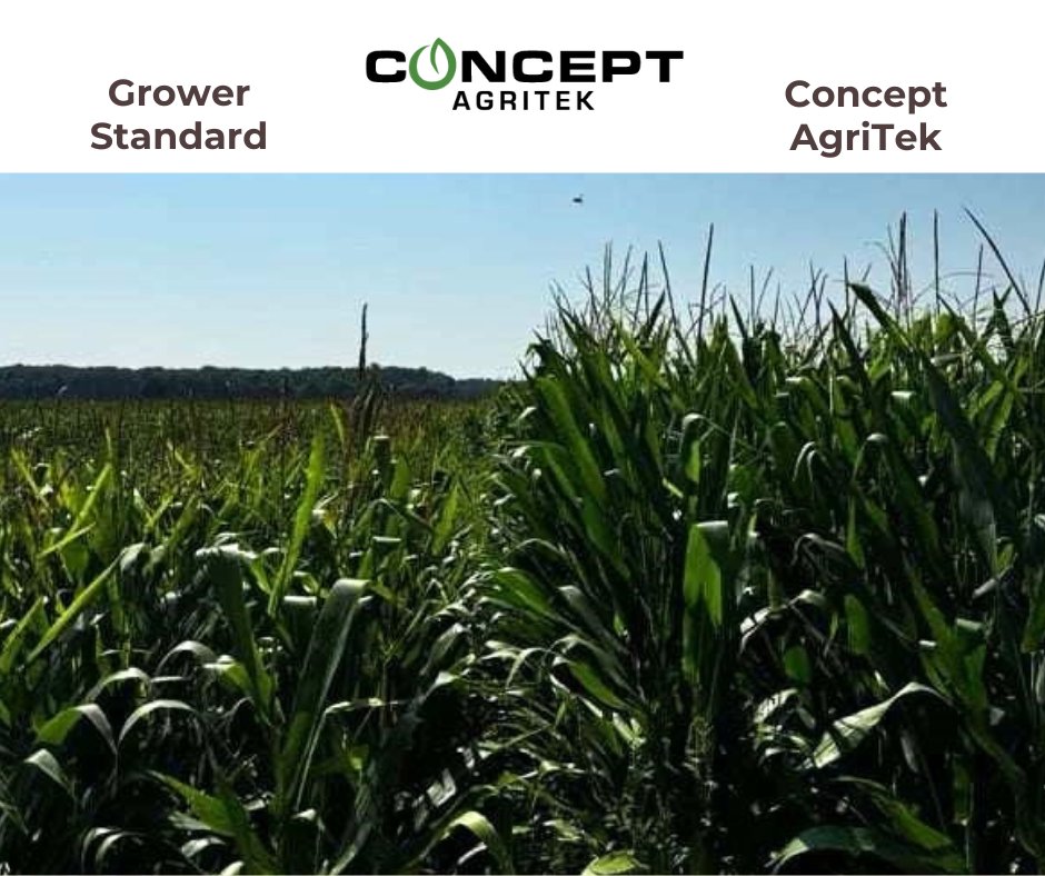 Concept AgriTek tweet media