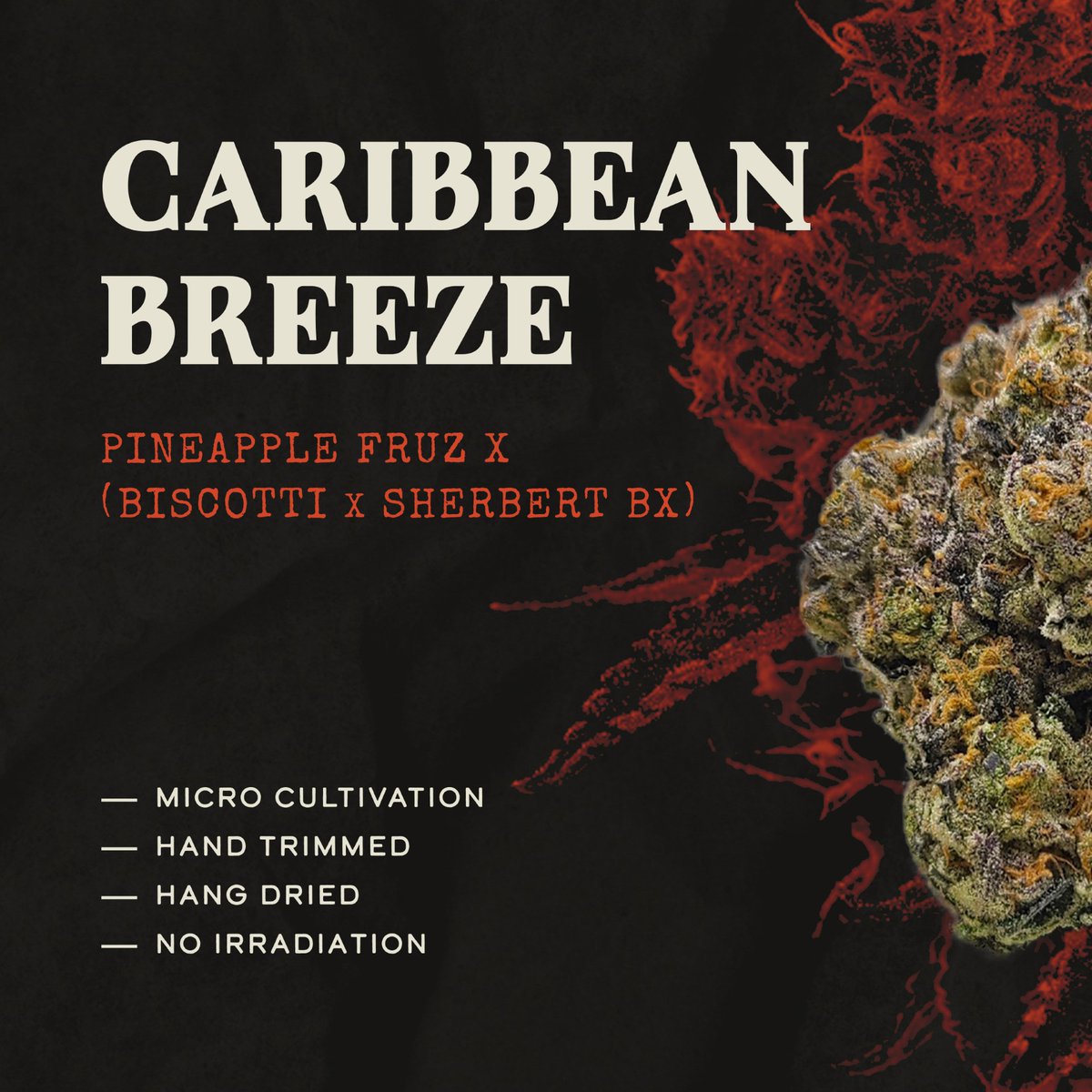 coming to Alberta next week is this amazing small batch craft Vancouver Island grown Caribbean Breeze!!!