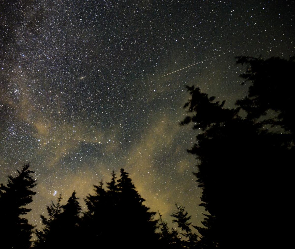 Stargazers, look up! It’s time for the Perseid meteor shower. Head out the night of Aug. 11 and before dawn on Aug. 12 for a chance to see some celestial fireworks. go.nasa.gov/4fBoN8F