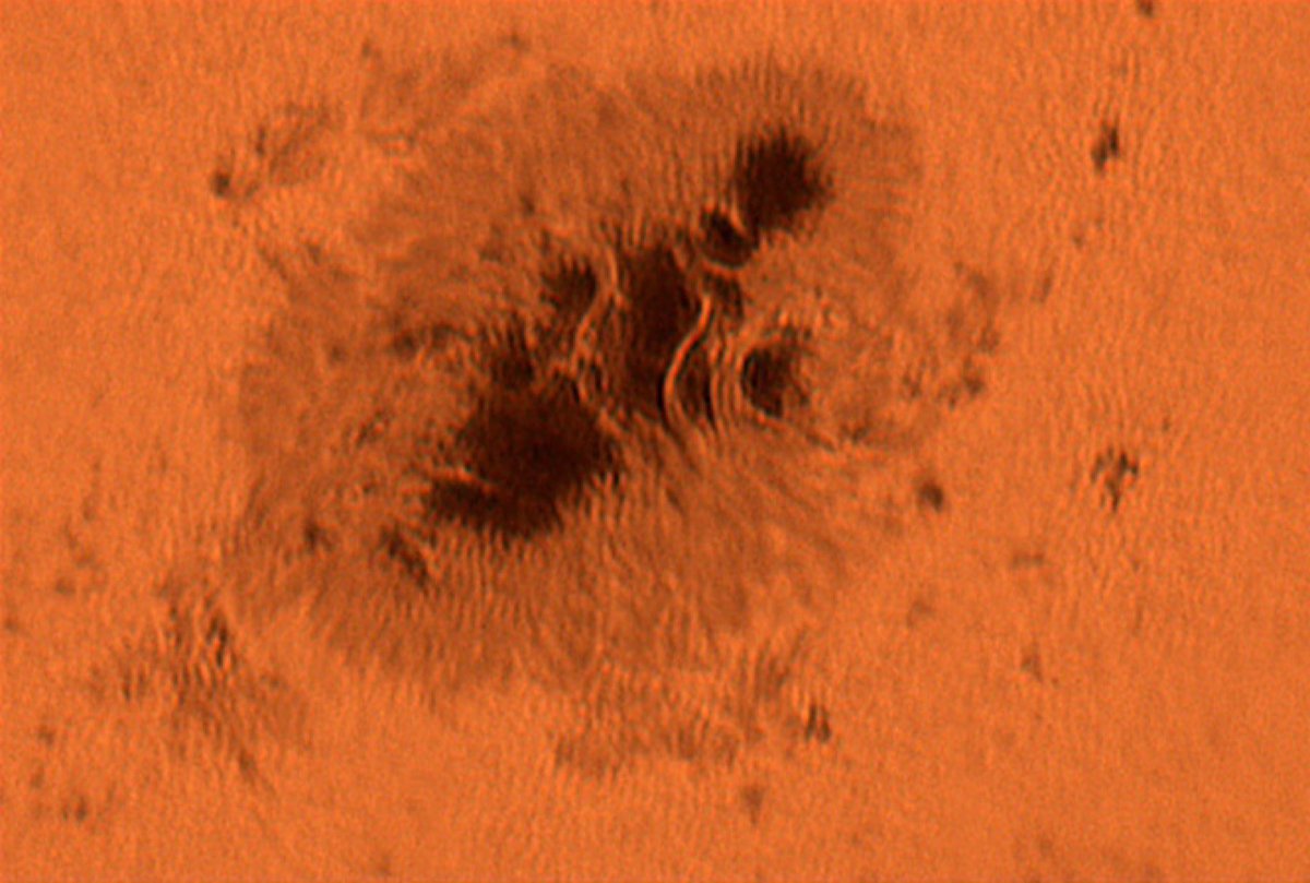 Boreal Edge Observatory tweet media