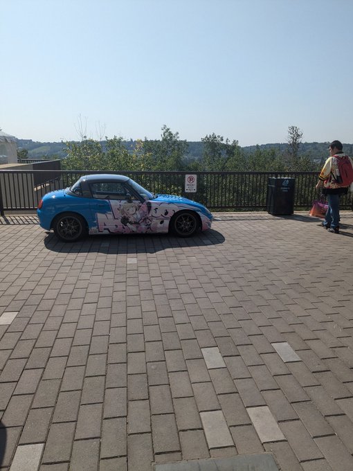 Seeing a capuchino in person makes it all worthwhile XD https://t.co/2UphNv8ZB1