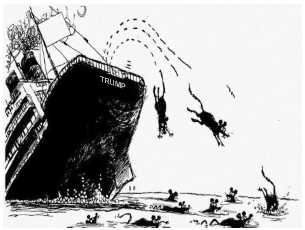 Newsforachange's tweet photo. @newrepublic #TrumpSinkingShip #Rats https://t.co/h7S10JazI8