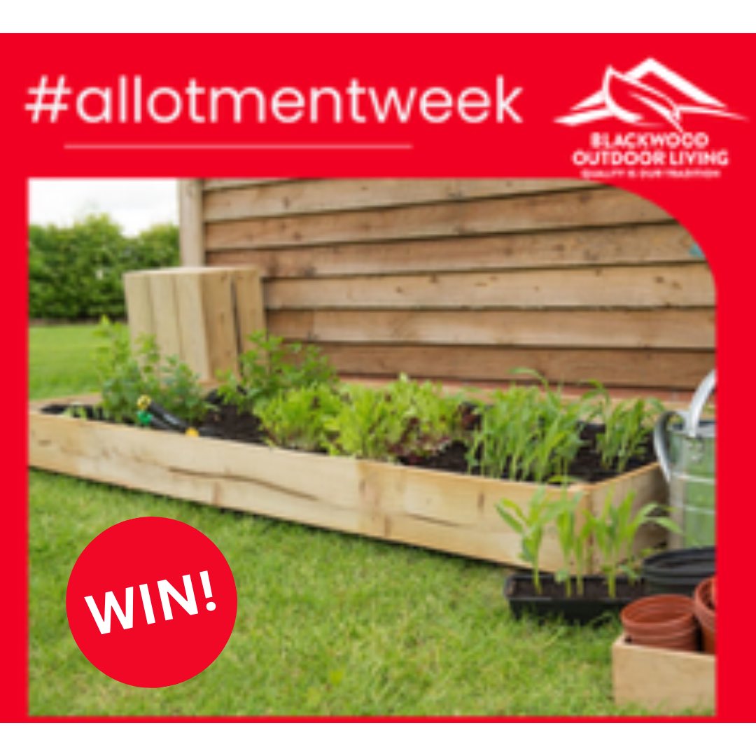 allotmentonline's tweet photo. 🪴NEW COMPETITION!🪴

Enter for the chance to WIN a Raised Bed from Blackwood Outdoor Living!

Please follow us and ❤️ this post. RT, Tag and enter on the link:

https://t.co/oPOaWVSIiO

#competition #win #allotment #raisedbed https://t.co/RDHEHduenn