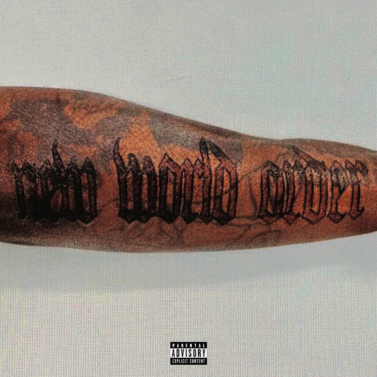 NEW WORLD ORDER tweet media