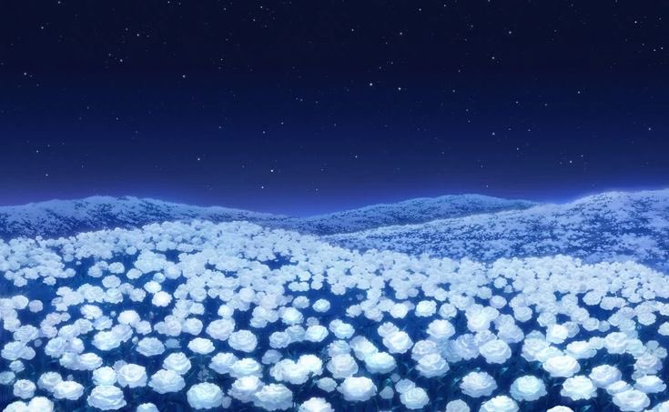 ♡⃘ elly 𓈒 𓎟𓎟 🍉 tweet media