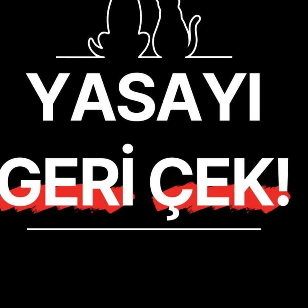 SEVGİ & MERHAMET (@sevgimerhamet) on Twitter photo 