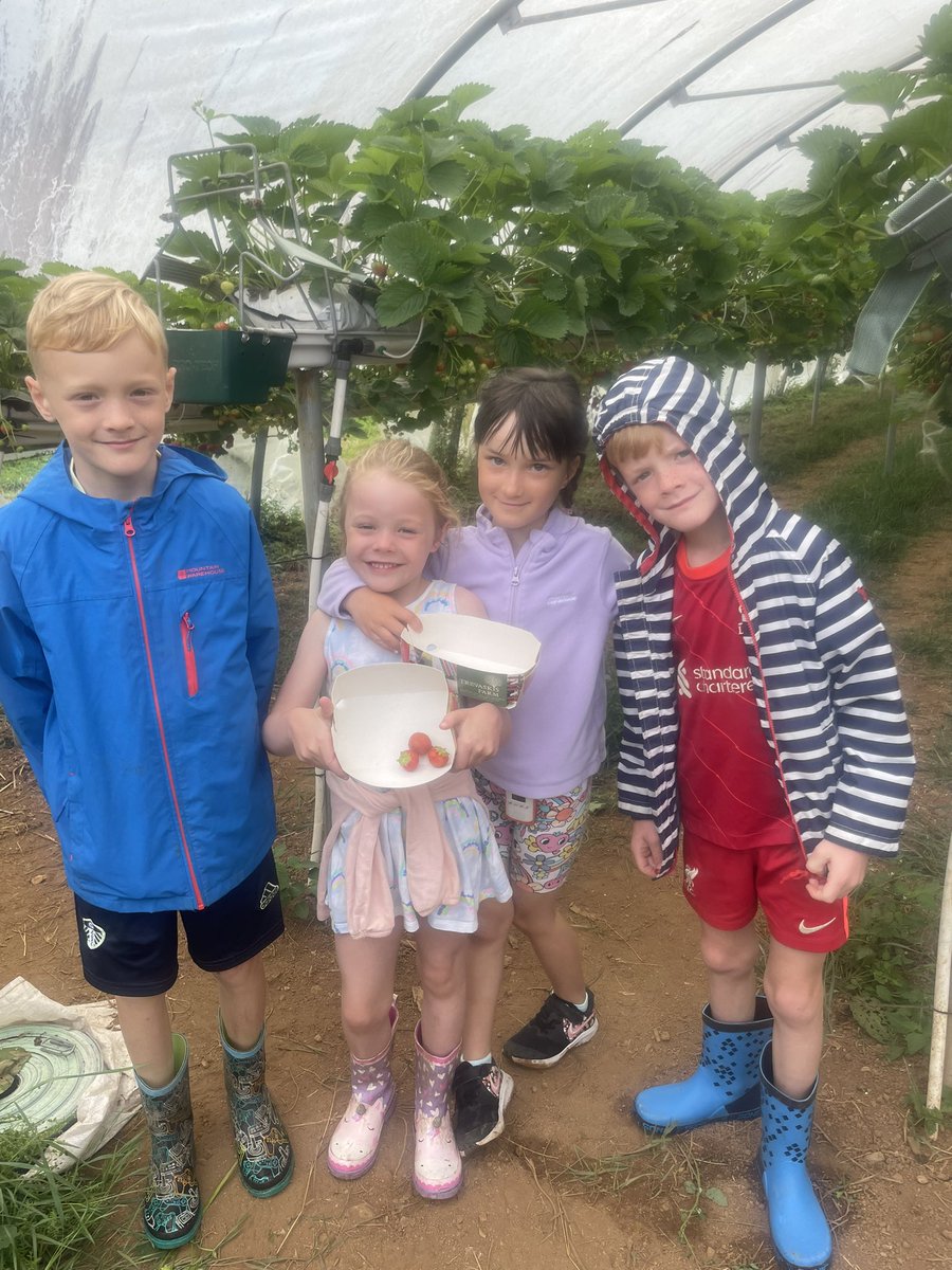 Kate Sulc tweet media