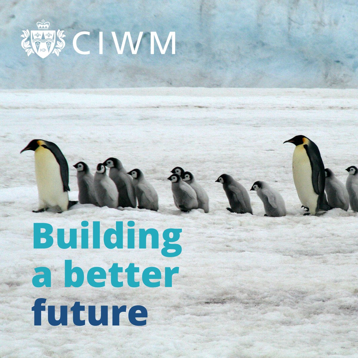 “I found the journey to achieving chartership most fulfilling ... It is wonderful that people in the wastes industry want to uplift those around them for their better ...”. - Dhiran Chauhan MCIWM

We bring together people who make waves in our sector. bit.ly/ciwmmem