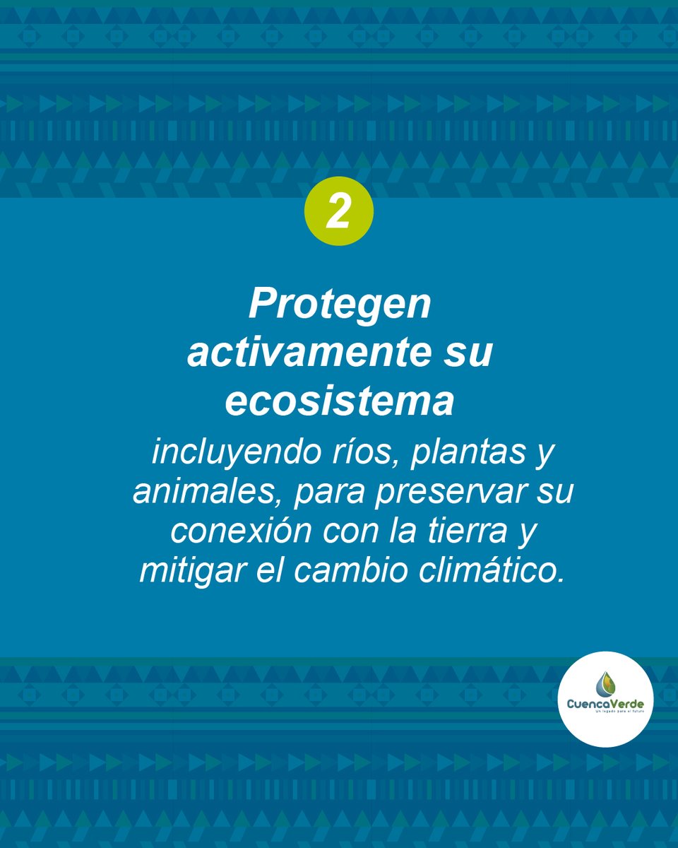 CuencaVerde tweet media