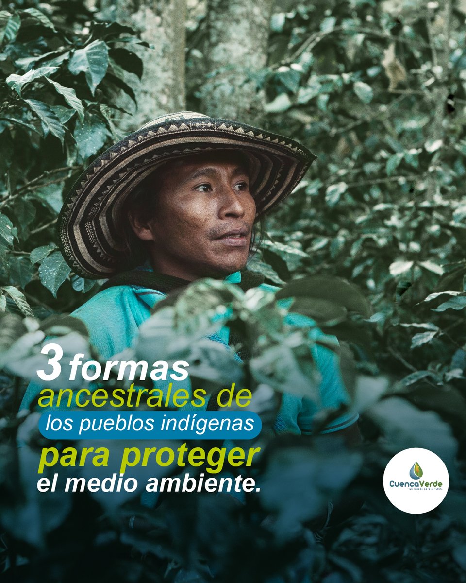 CuencaVerde tweet media
