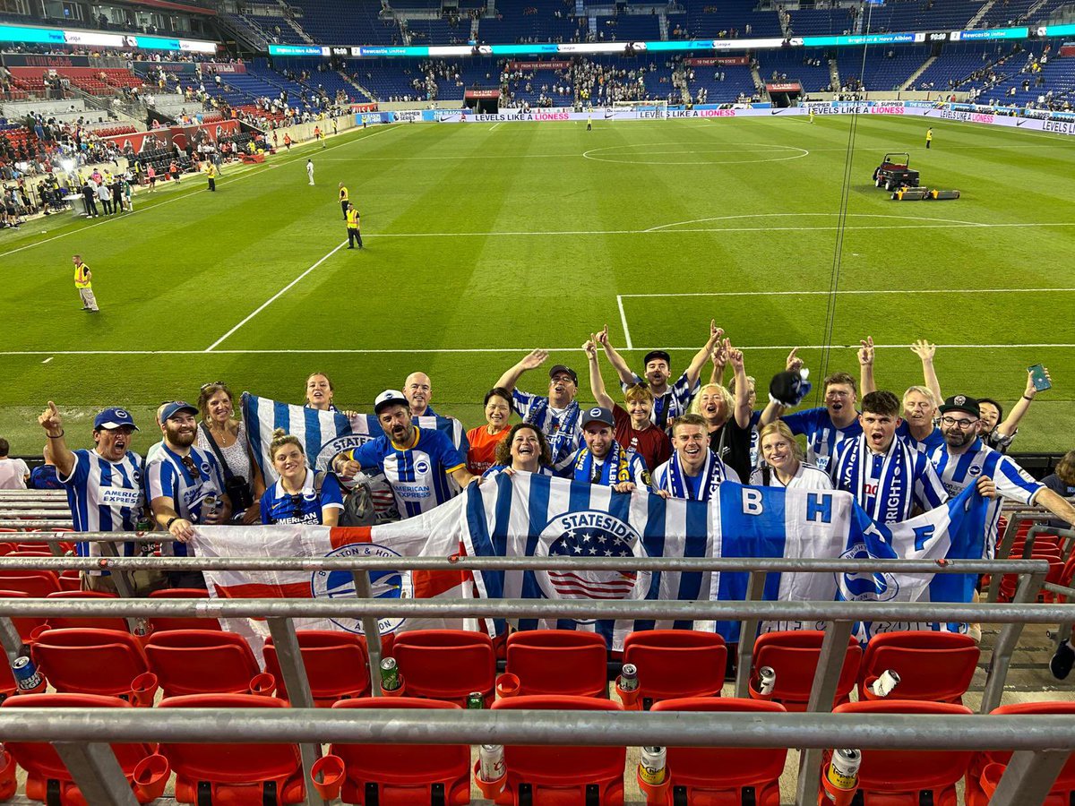 Stateside Seagulls tweet media