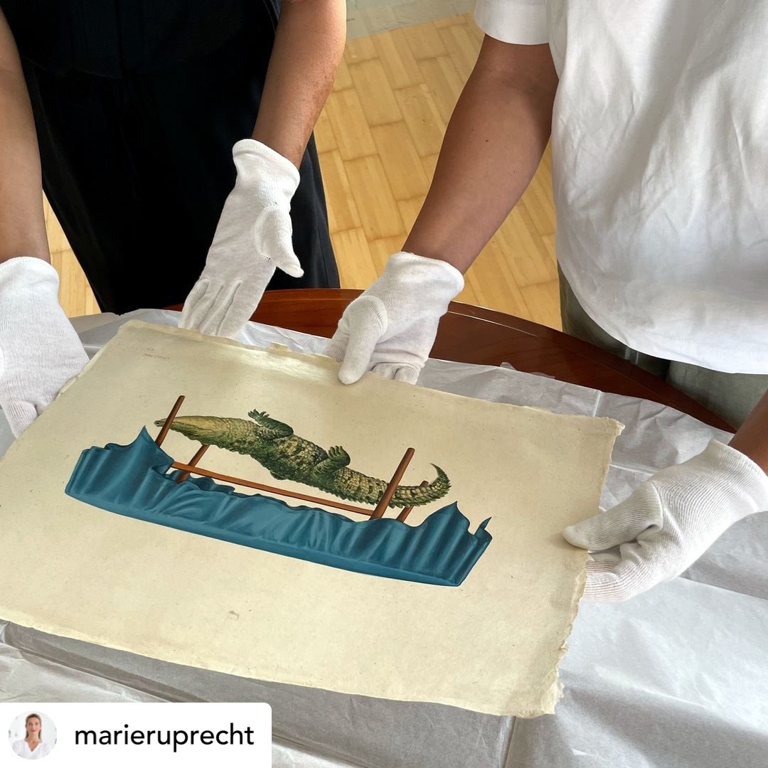 GunjanTyagi10's tweet photo. My artworks arrived in Austria, complete with heart and soul. Counting down to the exhibition! #Kunstsalon in @galleriederstadttraun 
My four new works are going to be in the exhibition
Save the date if you are in Upper Austria September 11 2024 to October 13 2024. 
#gunjantyagi https://t.co/QoC24Cz1U6