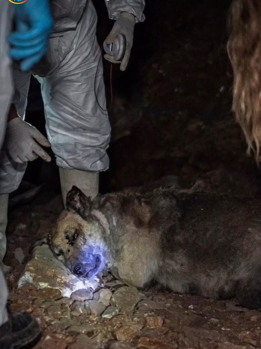 Gözleri açık, görüyor musunuz?! Gözleri açık gitmiş! Bu gözlere iyi bakın ve sebep olanları asla unutmayın!

VE HAMİLEYMİŞ ! KARNINDAKİ BEBEKLERİYLE BİRLİKTE KIYMIŞLAR! 

Hem vallahi hem billahi, O BÜYÜK MAHKEMEDE DAVACIYIM CÜMLENİZDEN, HEM DAVACIYIM HEM BU CANLARIN DAVASINDA