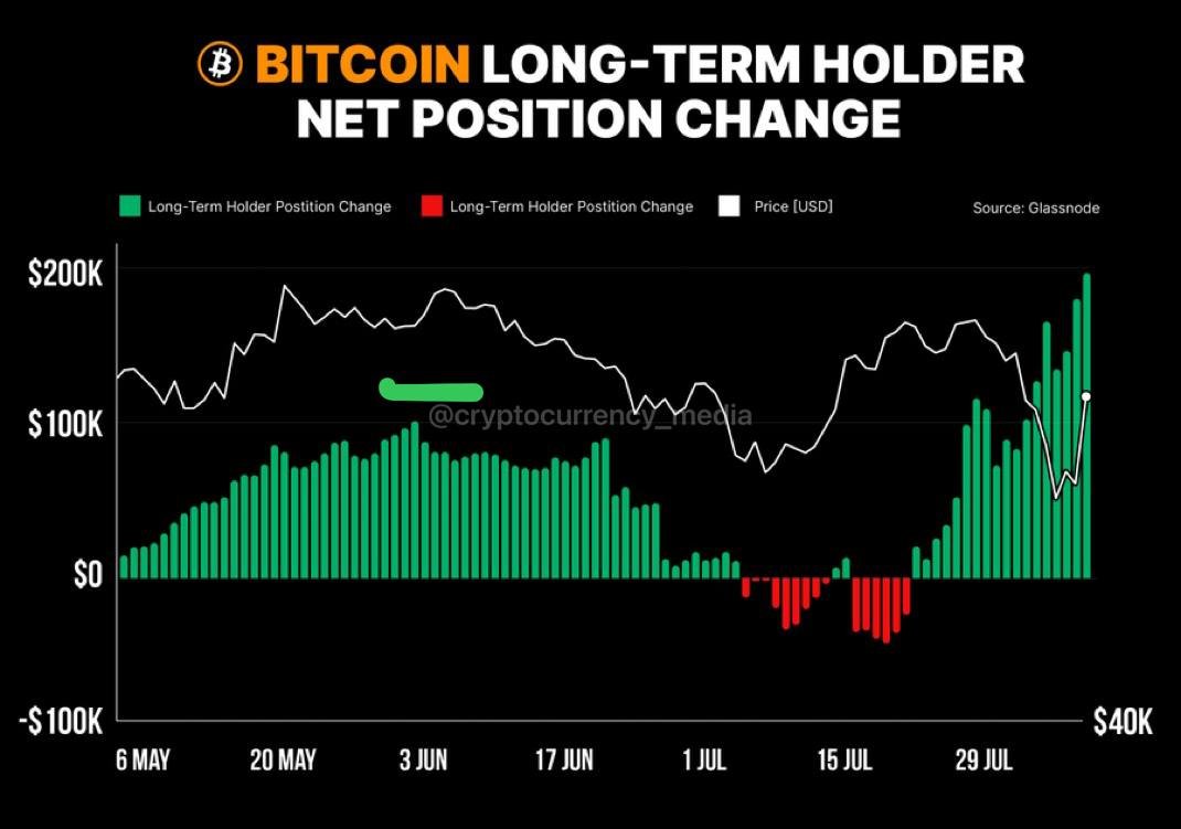 Bitcoin Long Term Holder Net Position Change During the recent dip long-term  holders accumulated over 184,500 #BTC worth $11.125 billion.