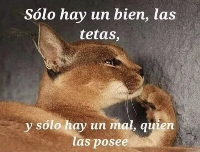 Memakker (@memakker) on Twitter photo 