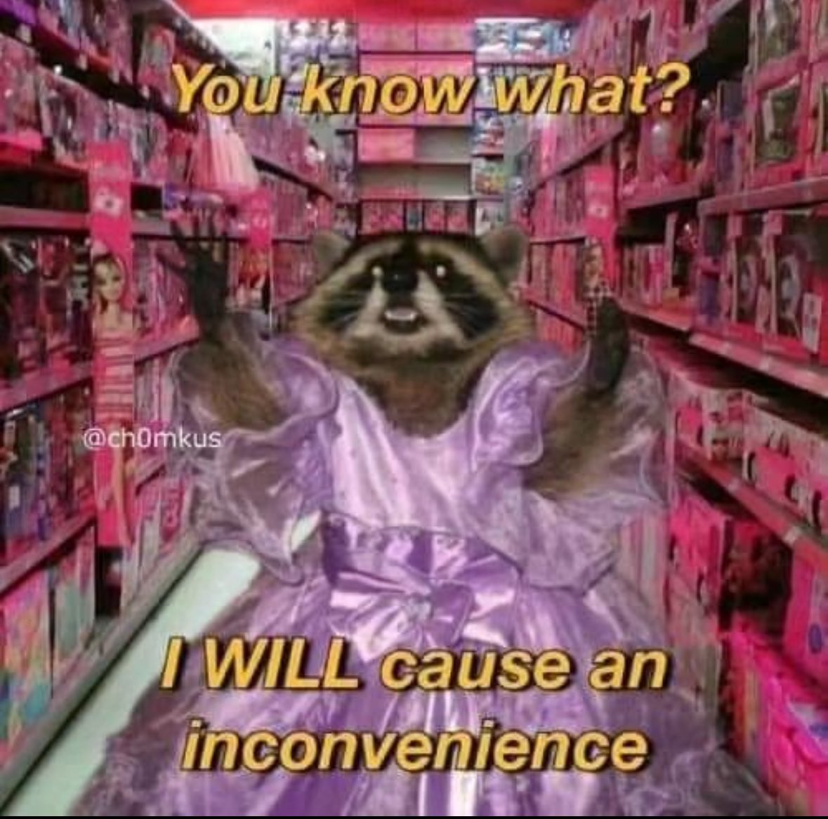 raccoon aesthetic. (@raccoonesthetic) on Twitter photo 