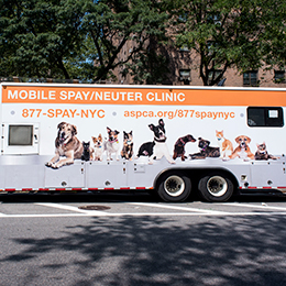 AnimalComun's tweet photo. ASPCA Veterinary Services Nationwide https://t.co/g4SAEonZ99 https://t.co/H2nFUrhN74