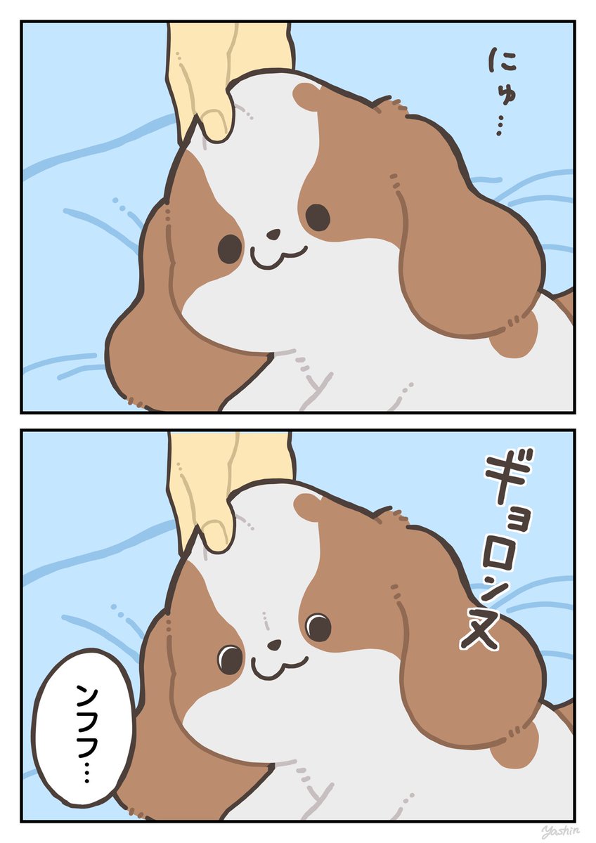 犬の顔ってなんか触りたくなっちゃうよねスペシャル 