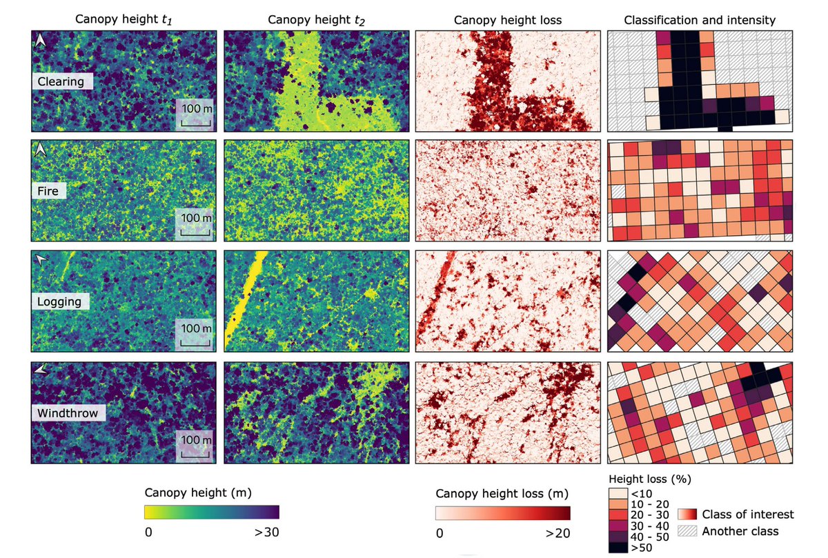 PNASNews's tweet photo. The southern Brazilian Amazon now emits more carbon than it absorbs. A LIDAR study quantifies the amount of carbon lost from logging, fires, wind, and other causes. Indigenous areas and conservation units protect against anthropogenic losses. In PNAS: https://t.co/JN0KPk1hBk https://t.co/jORZ2SSnZV