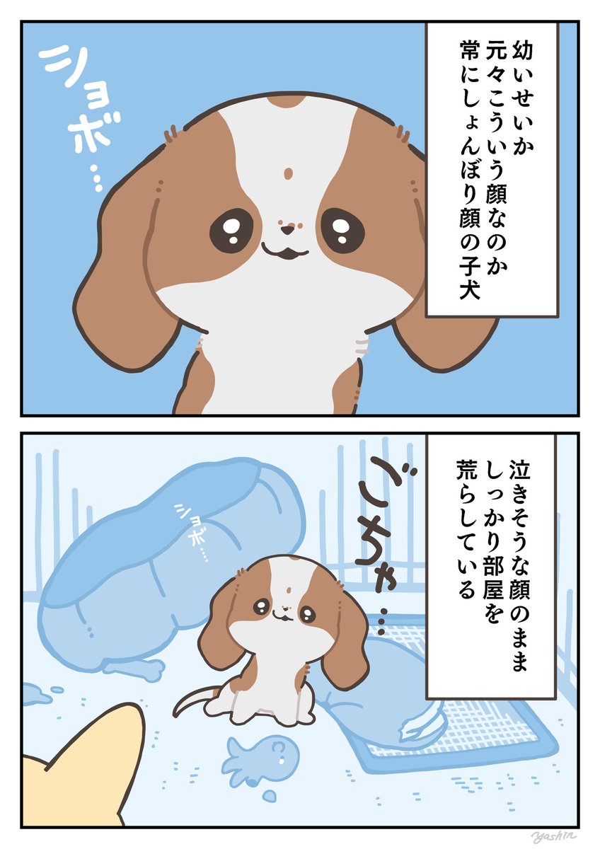 天真爛漫!傍若無人!子犬スペシャル 