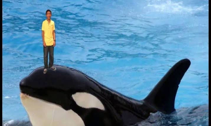 2X1's tweet image. Nissim Ourfali #PorOndeAnda

O verdadeiro #TwitterFiles