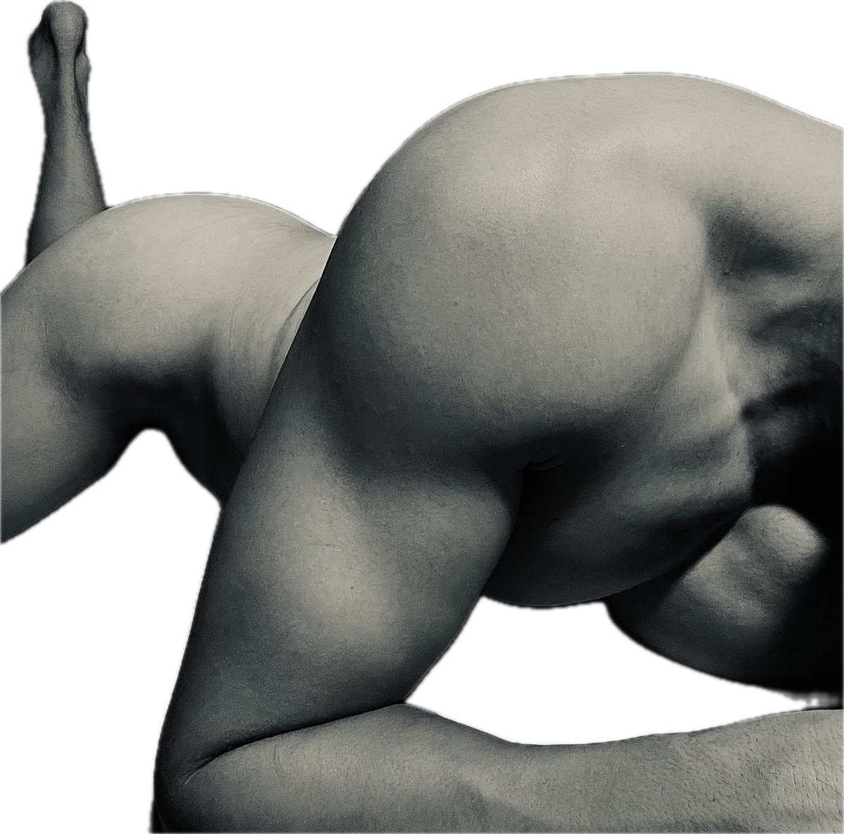 祝大家 騎人節快樂