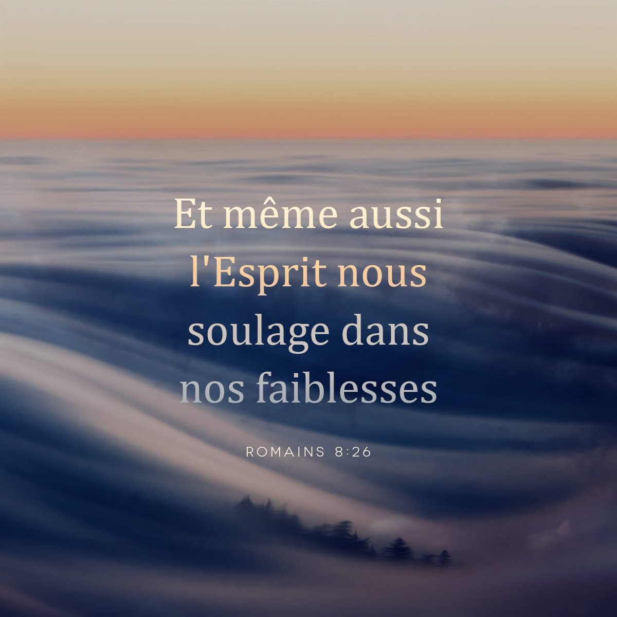 farho's tweet image. 