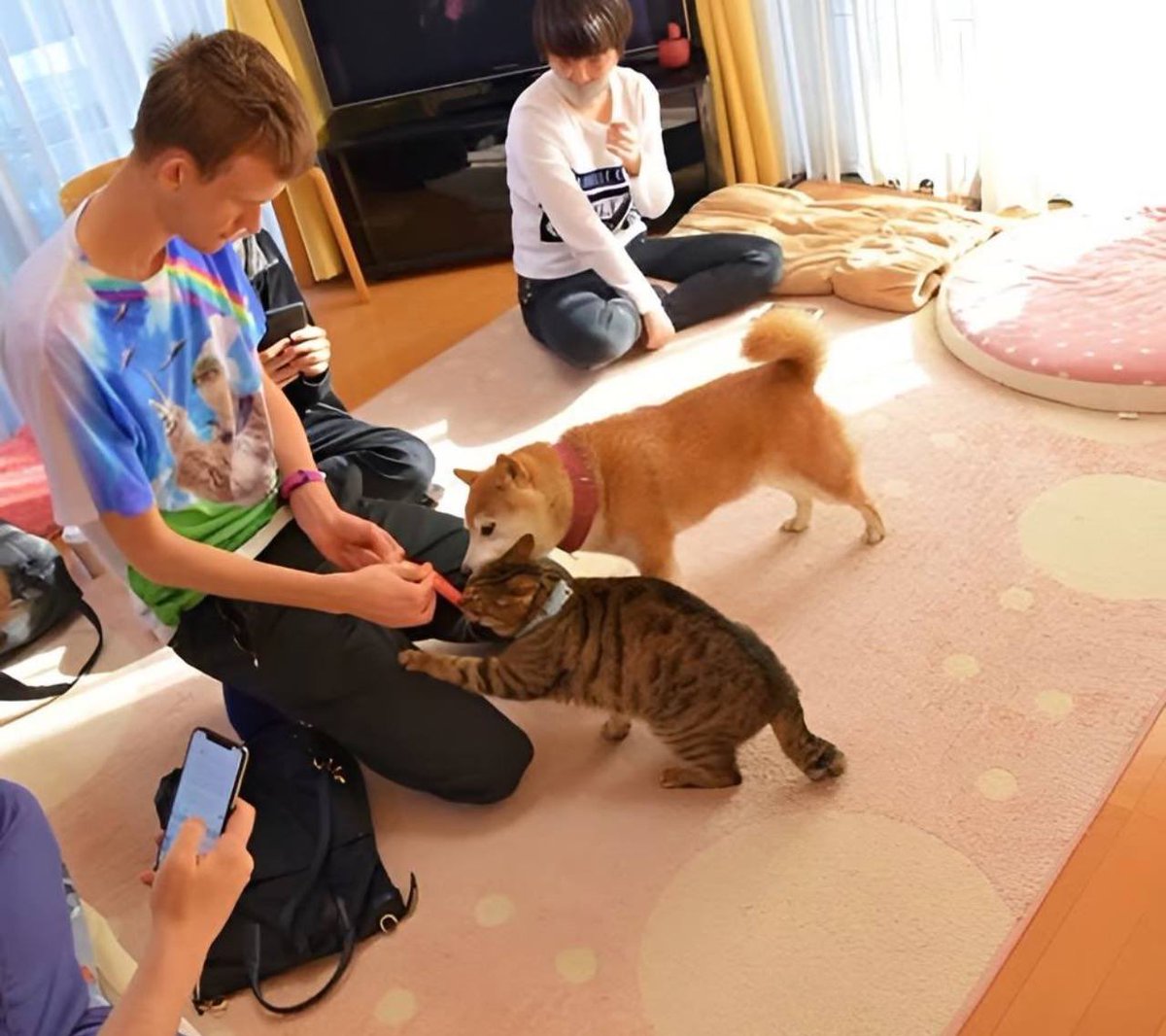 Holy fuck, $GINNAN belongs to eth

0x31C4f6A7b6351B89F16278a5Ceb6AbcE5381Cb4f