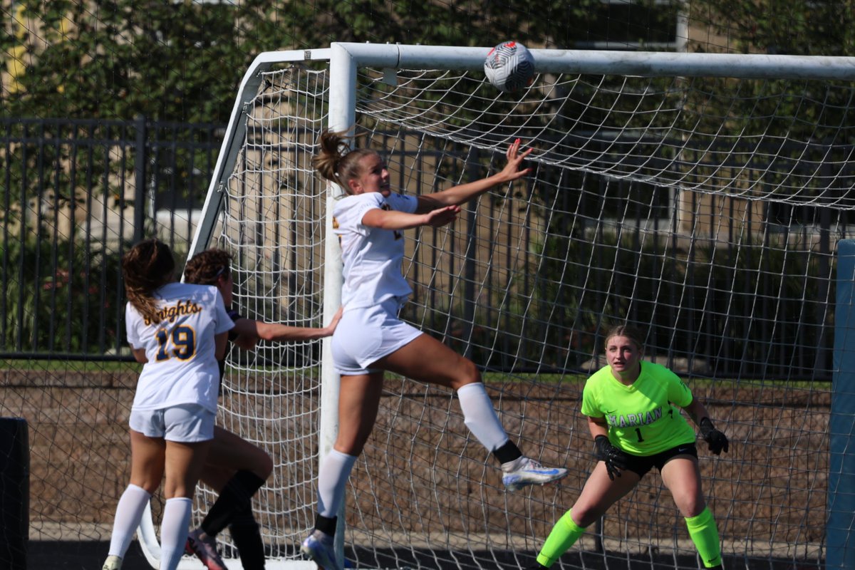 Marian Knights tweet media