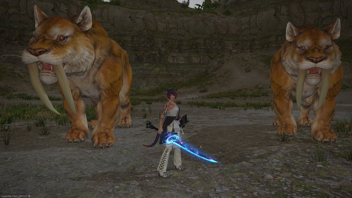 "Did you say something negative about #FFXIV cat women? Maybe I heard you wrong. Why don't you repeat yourself. Go ahead, say it again."
