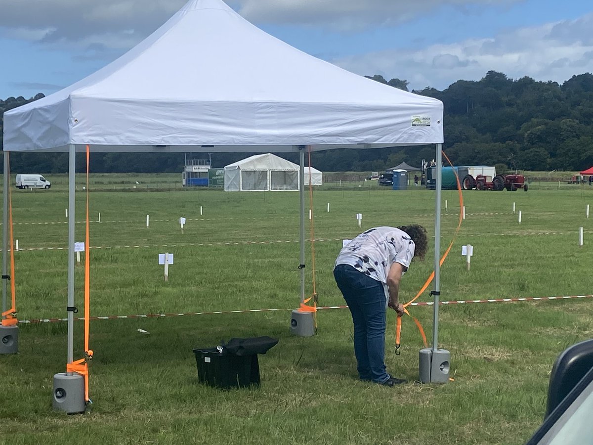 Andrew Sturgess tweet media