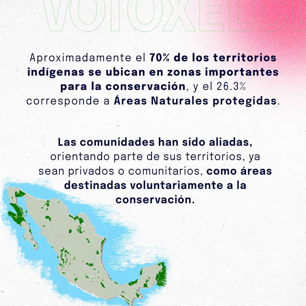 VotoXel's tweet photo. 🌿*Día Internacional de los Pueblos Indígenas*🌿

Las comunidades indígenas son #GuardianesDeLaTierra y protectores d la biodiversidad. Su sabiduría ancestral y profundo respeto por la naturaleza son claves en la conservación d las áreas naturales de 🇲🇽

#DíaDeLosPueblosIndígenas https://t.co/FyLkU1x2Eo