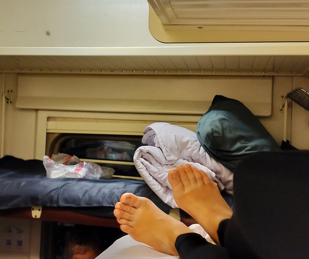 Я лягушка-путешественница, РЖД со мной стабильно.